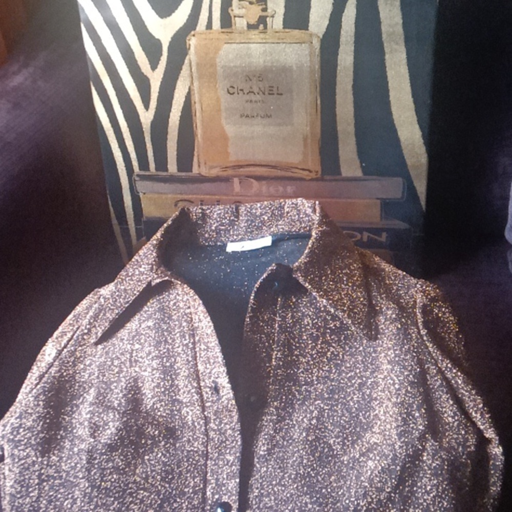 Vintage Shimmery glitter blouse.
